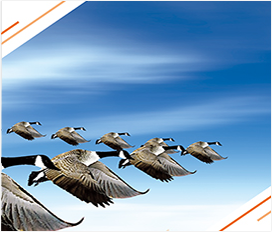 6686体育(中国区) - 官方网站