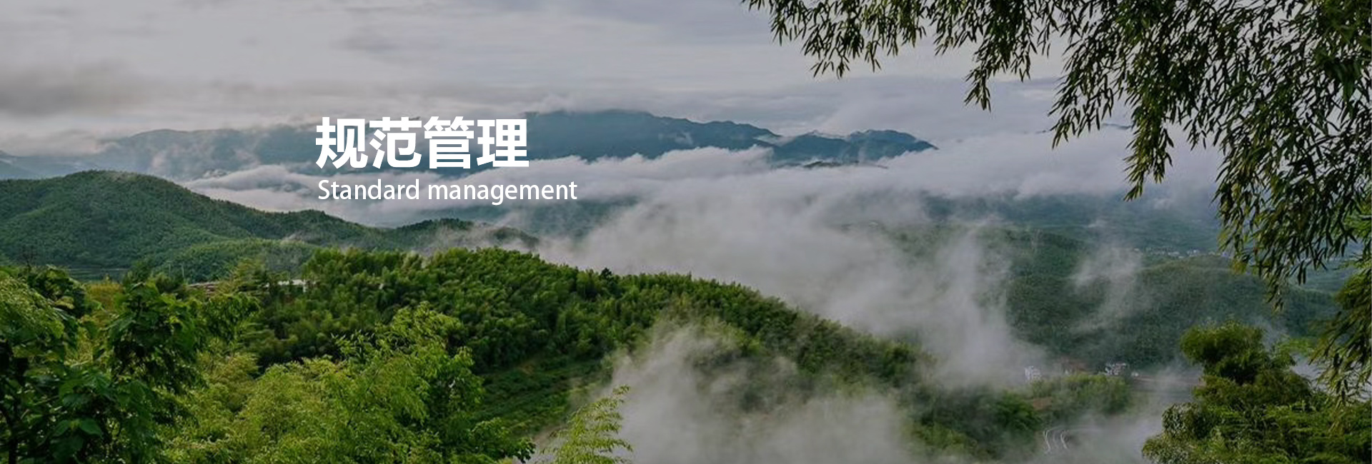 6686体育(中国区) - 官方网站